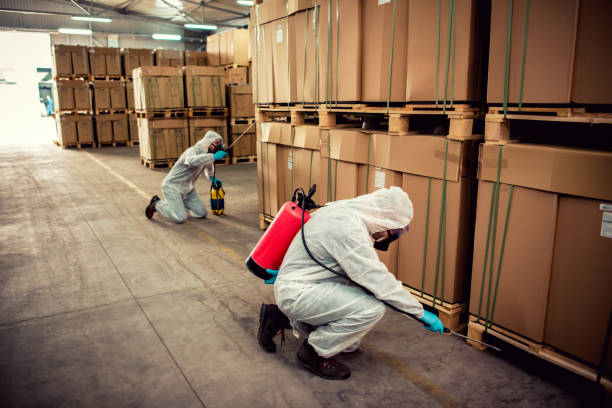 Best Best Pest Control Companies  in Farngton Hills, MI