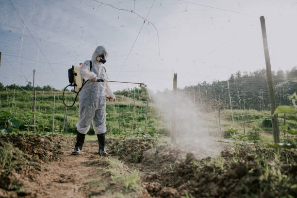 Best Affordable Pest Control Services  in Farngton Hills, MI