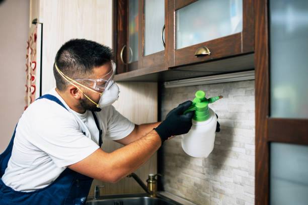 Best Termite Control Services  in Farngton Hills, MI