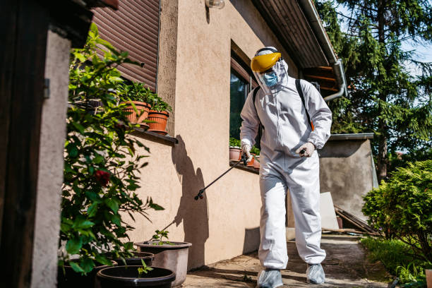 Best Mosquito Control Services  in Farngton Hills, MI