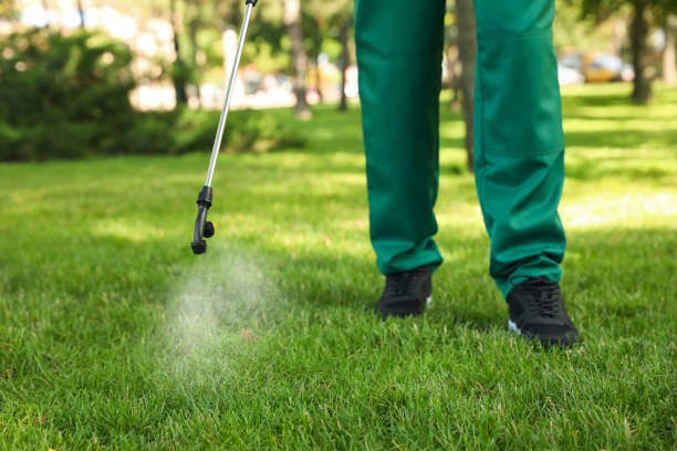 Best Local Pest Control Services  in Farngton Hills, MI