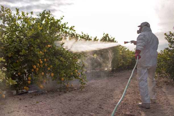Trusted Farmington Hills, MI Pest Control Experts