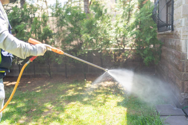 Best Flea Control Services  in Farngton Hills, MI