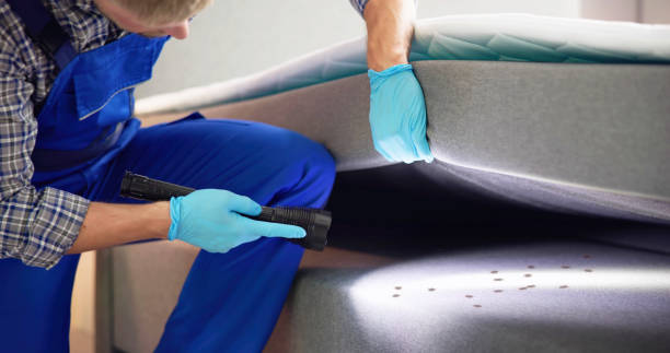 Best Ant Control Services  in Farngton Hills, MI