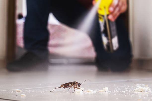 Best Cockroach Control Services  in Farngton Hills, MI