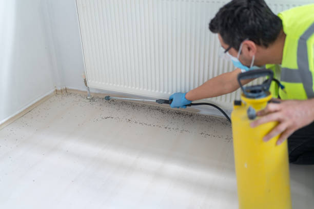 Best Residential Pest Control  in Farngton Hills, MI