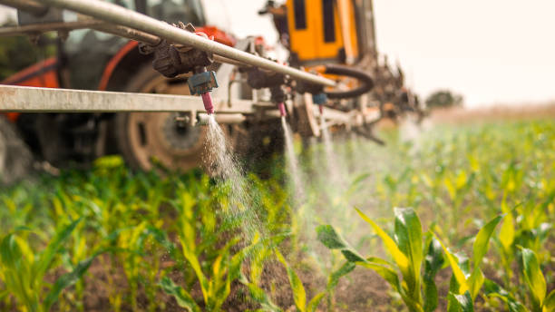 Best Pest Removal Services  in Farngton Hills, MI
